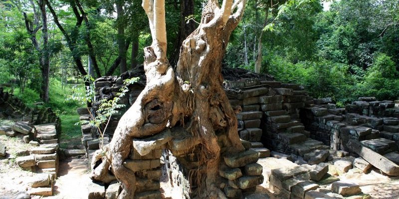 Тайланд. Экскурсия.  Аюттайя и королевский дворец Банг Па Инь .